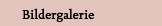Bildergalerie
